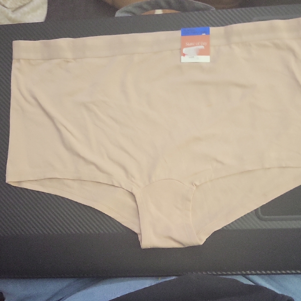 Nwt‎ State Of Day Nude Panty XL